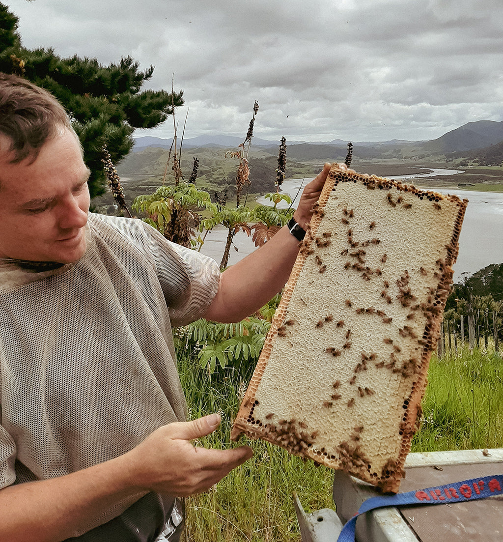 Designed by Bees, Crafted with Care, collected by Matthew Foster